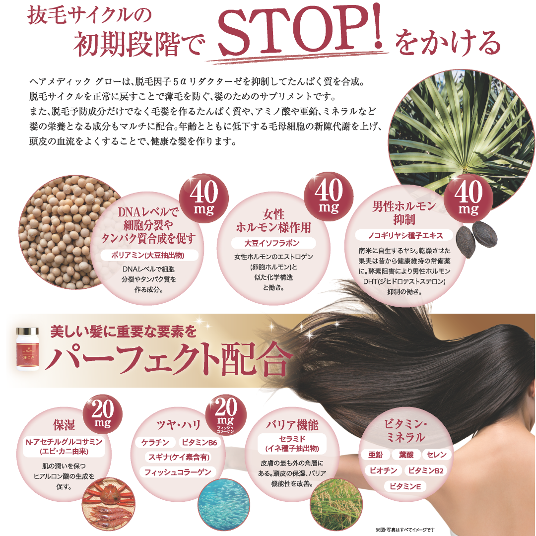 人気ブランドの新作 サプリ｜ヘアメディックグロー – ScandinavianBeauty 健康・医学